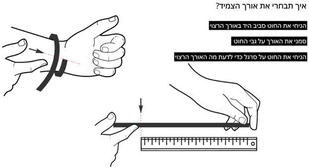 תמונה2